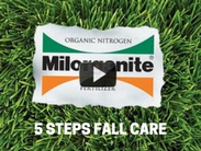 5 Steps to Fall Landscape Care