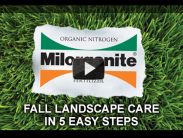 Fall Landscape Care