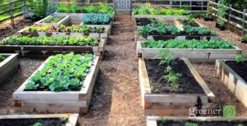 Growing a Greener World Raised Beds