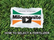 How to Select a Fertilizer