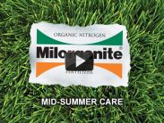 Mid-Summer Lawn & Garden Care