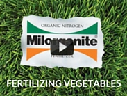 Fertilizing Vegetables